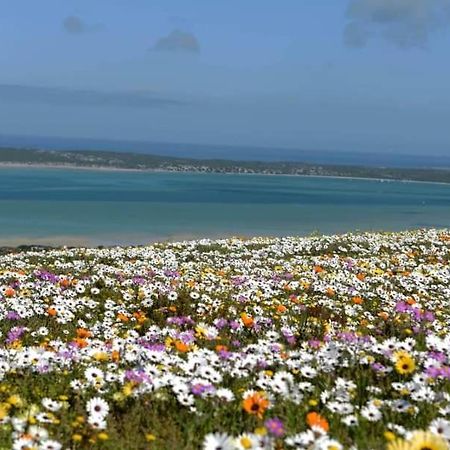 Seagulls Guest House Langebaan Exterior foto